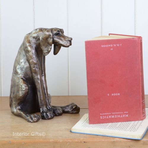 'Sidney' the faithful Handsome Hound Dog