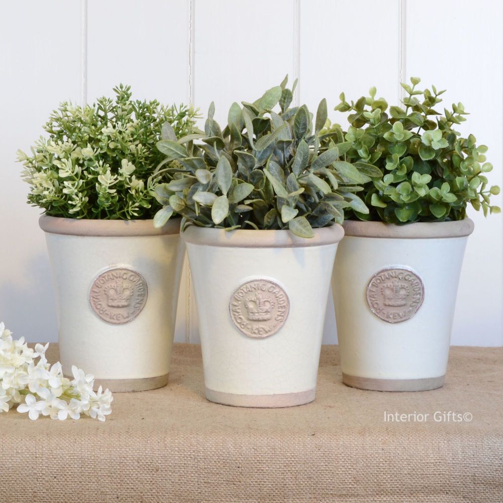 Kew Garden Set Of Three Herb Pots In Ivory Cream In Large Royal