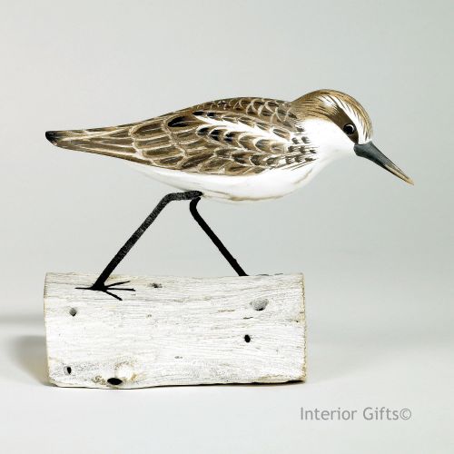 Archipelago Little Stint Running on Driftwood, Bird Wood Carving