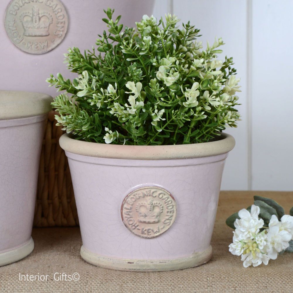 Kew Low Planter Pot Calamine Pink - Royal Botanic Gardens Plant Pot - Small