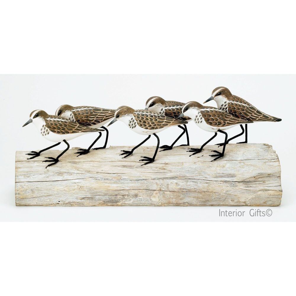 Archipelago 'Little Stint Block' Six Stint Birds on Driftwood Wood Carving