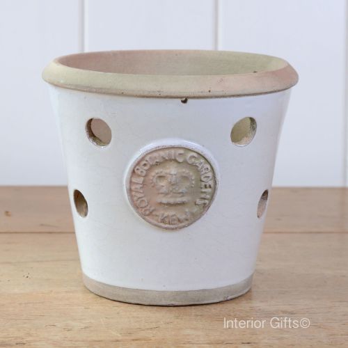 Kew Orchid Pot in Bone White - Royal Botanic Gardens Plant Pot Phalaenopsis