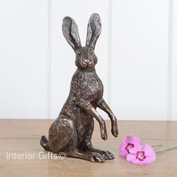 Poppy Curious Sitting Hare Bronze Sculpture by Harriet Glen