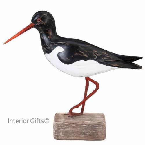 Archipelago Oystercatcher Looking Up Bird Wood Carving