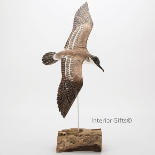 Archipelago Shearwater in Flight Bird Wood Carving