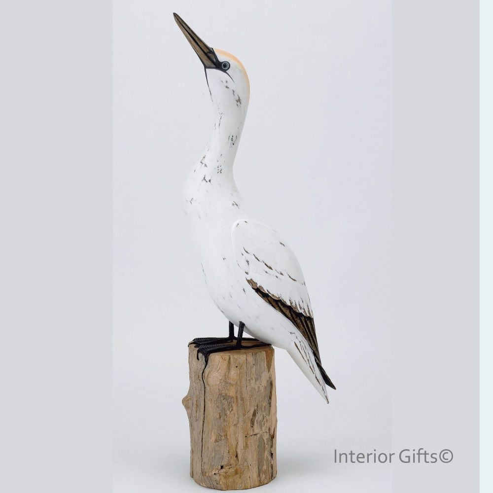 Archipelago 'Gannet Looking Up' Bird Wood Carving