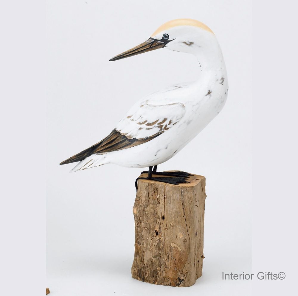 Archipelago 'Gannet Preening' Bird Wood Carving
