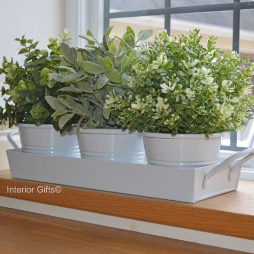 Zinc Herb Pot Set on Tray in Chalk White