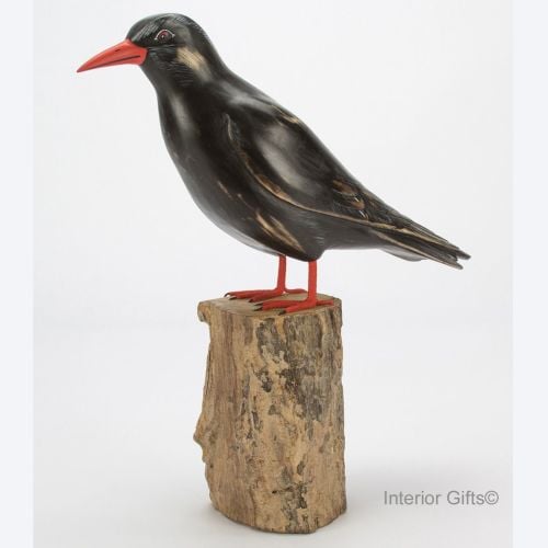 Archipelago Chough Standing D391 Bird Wood Carving 