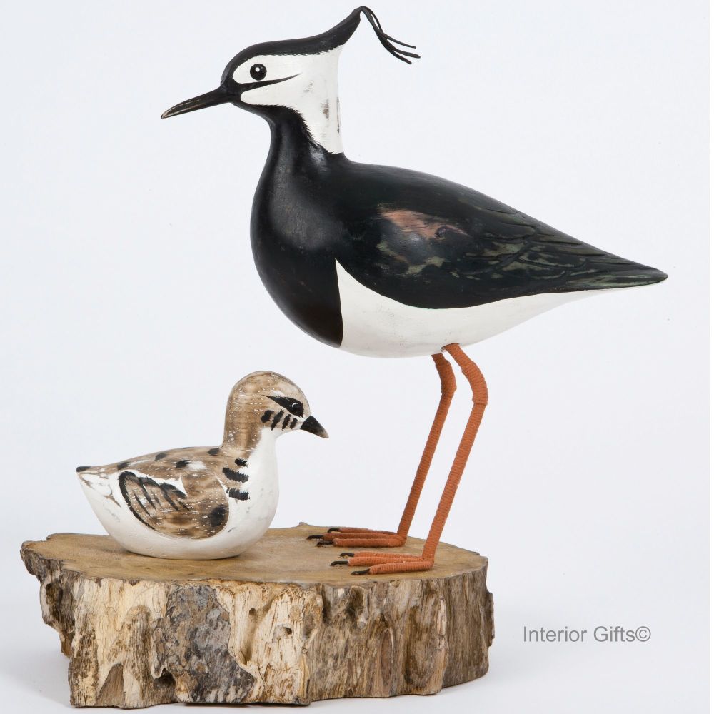 Archipelago Lapwing Block - Lapwing with Chick Bird Wood Carving