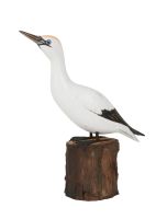 Archipelago Small Gannet Looking Up Bird Wood Carving *NEW*
