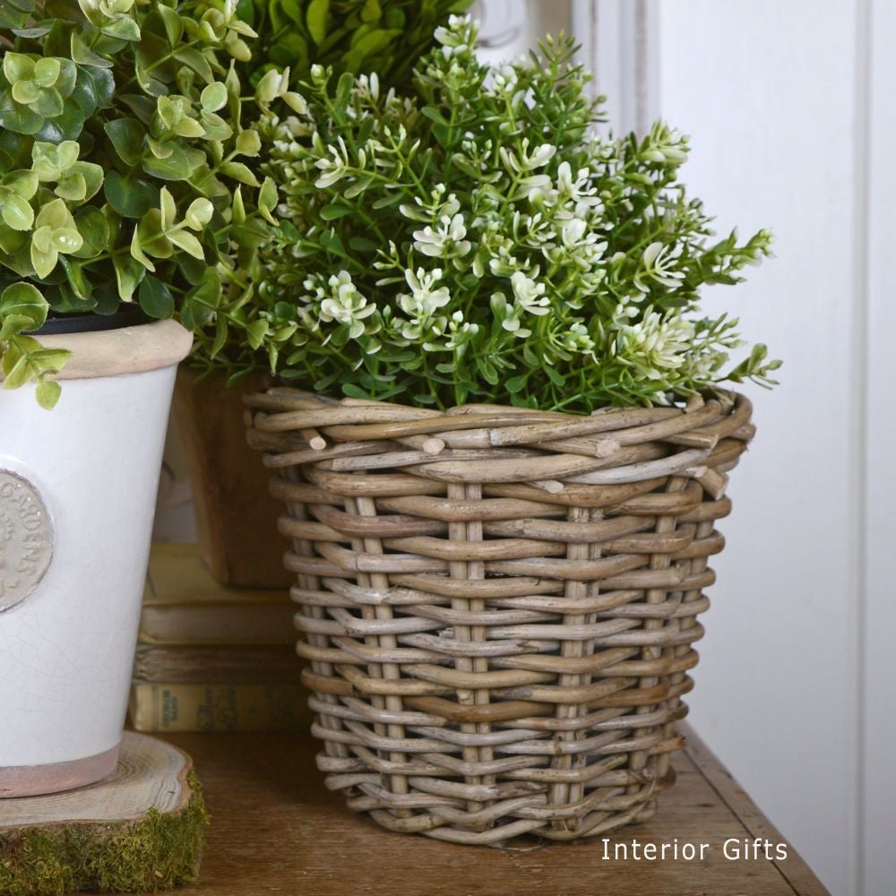 Wicker Basket Planter / Plant Pot  - Small