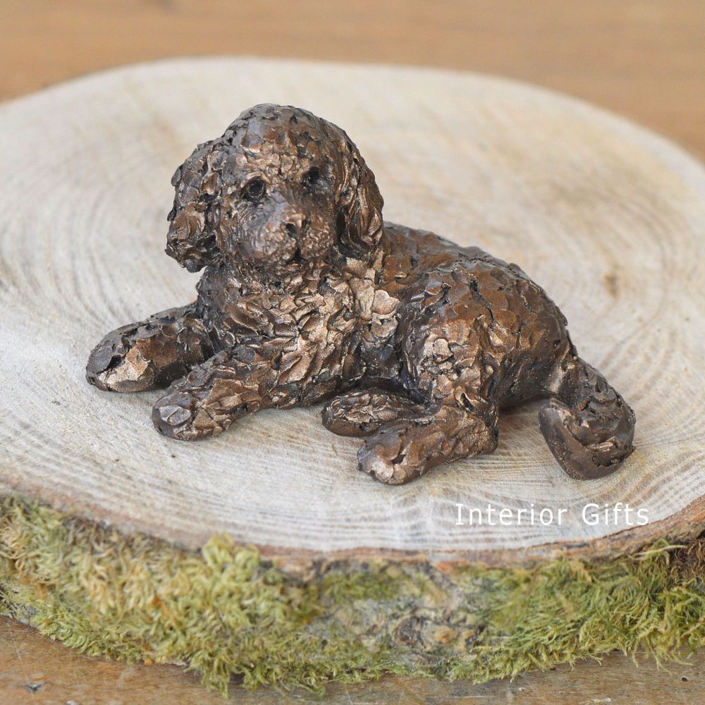 PICKWICK Cockapoo Lying Frith Bronze Sculpture  Miniature *NEW* by Adrian T