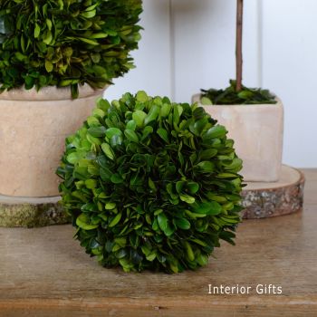 Preserved Boxwood Topiary Ball  -15 cm