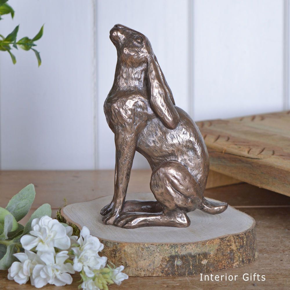 Moon Daisy Hare  Cold Cast Bronze Sculpture by Harriet Glen