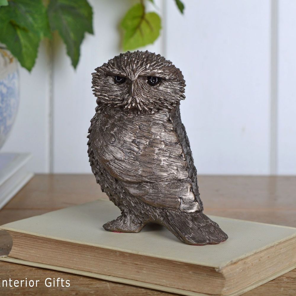 Ollie Little Owl Frith Bronze Sculpture by Thomas Meadows