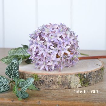 Allium Flower Heather Pink - 56 cm approx