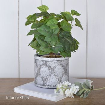 French Antique Grey Plant or Flower Pot - Medium 13 cm H