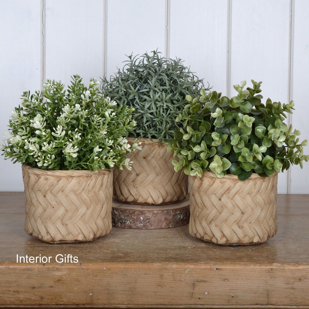 Pottery Lattice weave Plant, Herb or Flower Pots - Set of Three 11 cm