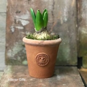 Kew Small Natural Terracotta Pot - Royal Botanic Gardens Plant Pot