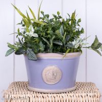 Kew Garden Low Planter Small Chartwell Green Royal Botanic Gardens Pot ...