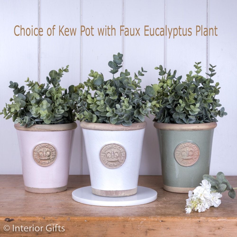 Kew Long Tom Pot in Small with Faux Eucalyptus Plant - Perfect Gift