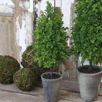 Faux Boxwood Topiary with Wooden Trunk  - 40 cm
