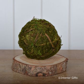 Green Moss Ball with Twigs  - 11 cm