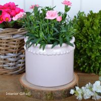 Calamine Pink Beaded Cachepot Handmade - Glazed Terracotta Plant Pot
