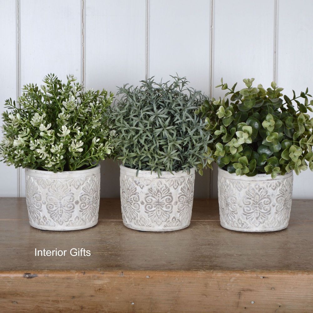 French Antique Cream Plant /Herb Pot - Set of 3 - X Small 9.5 cm H