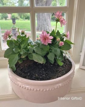 Calamine Pink Flower Bowl Handmade - Glazed Terracotta Plant Pot Large