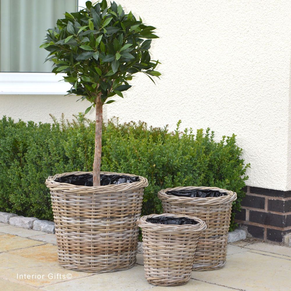 Rattan Wicker Basket Planter / Plant Pot  Round  - Natural