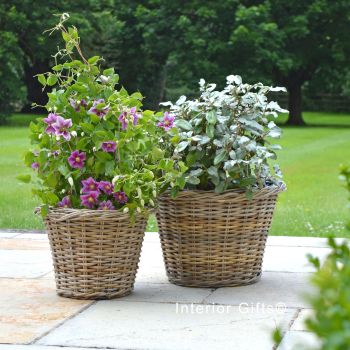 Rattan Wicker Basket Planter / Plant Pot Low/Woven Rim - Natural - FROM:
