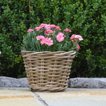 Rattan Wicker Basket Planter / Plant Pot  - Natural - 18.5 cm H