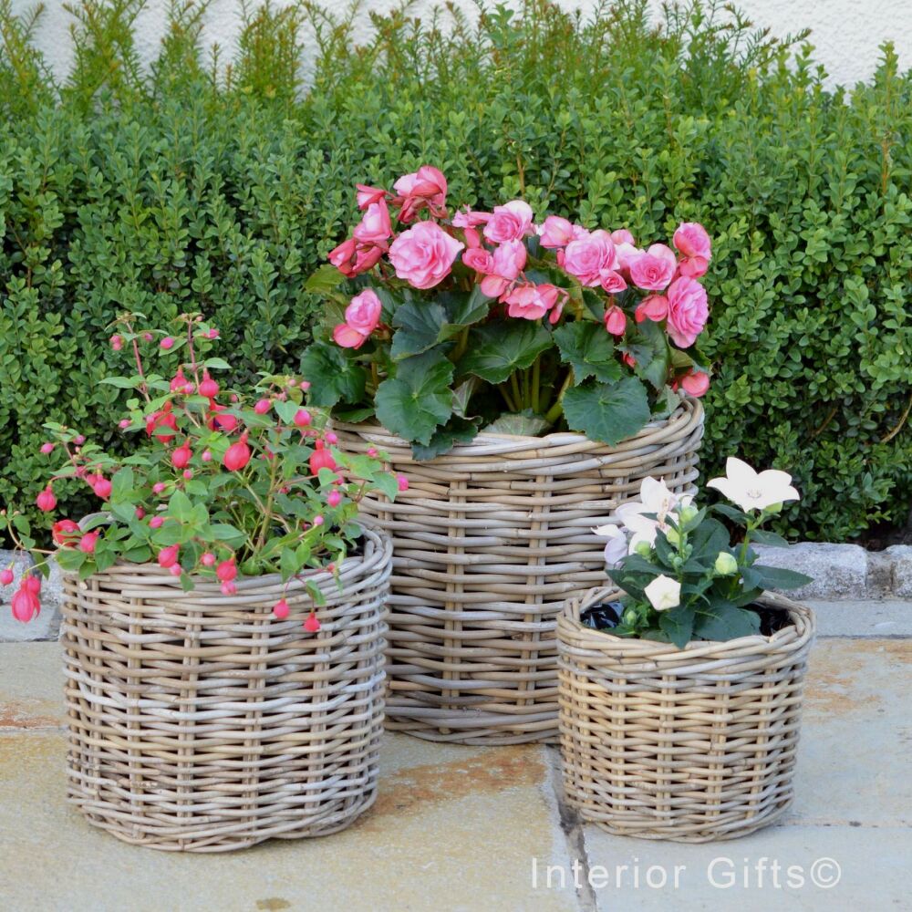 Rattan Wicker Basket Planter / Plant Pot  Round Straight  - Natural - FROM: