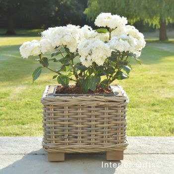 Rattan Wicker Basket Square Planter  with Metal Liner - Natural - 32 cm W