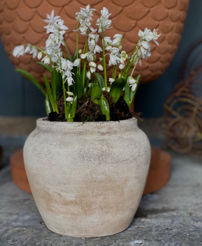 Vintage Style Aged Terracotta Plant Pot / Vase - Frostproof
