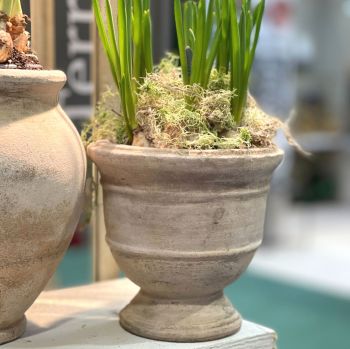 Vintage Style Aged Terracotta Footed Plant Pot / Vase - Frostproof