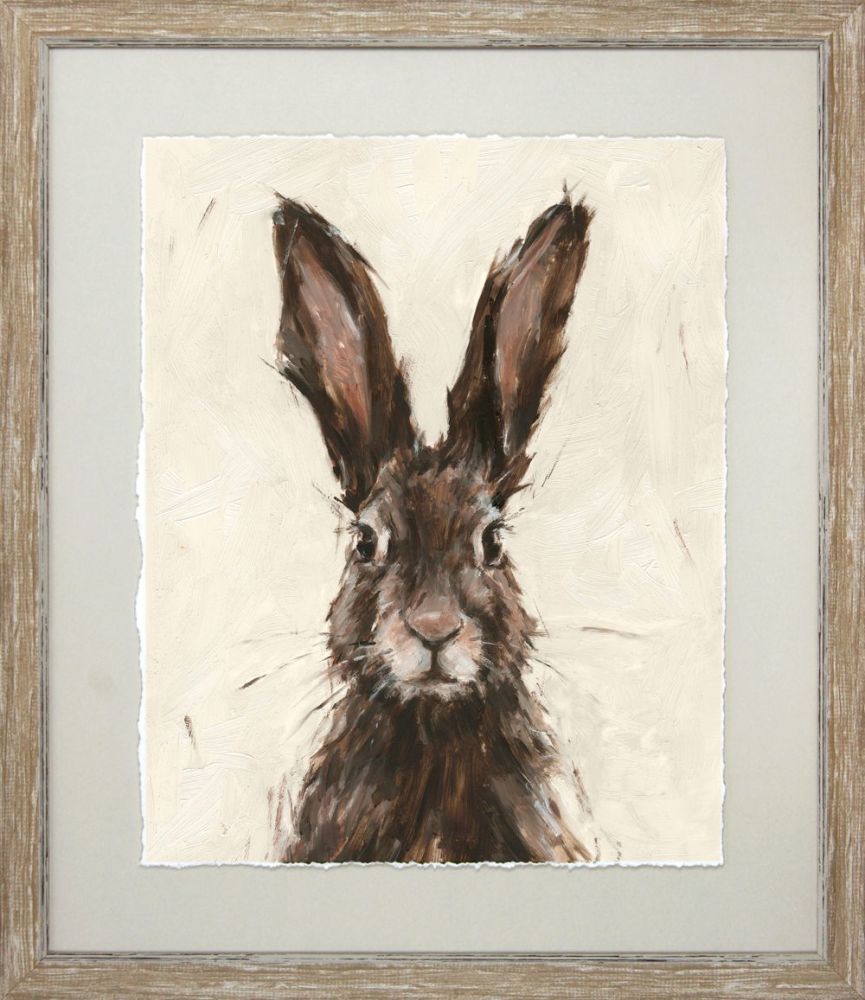 Brown Hare I Framed Print  - 53 x 45 cm