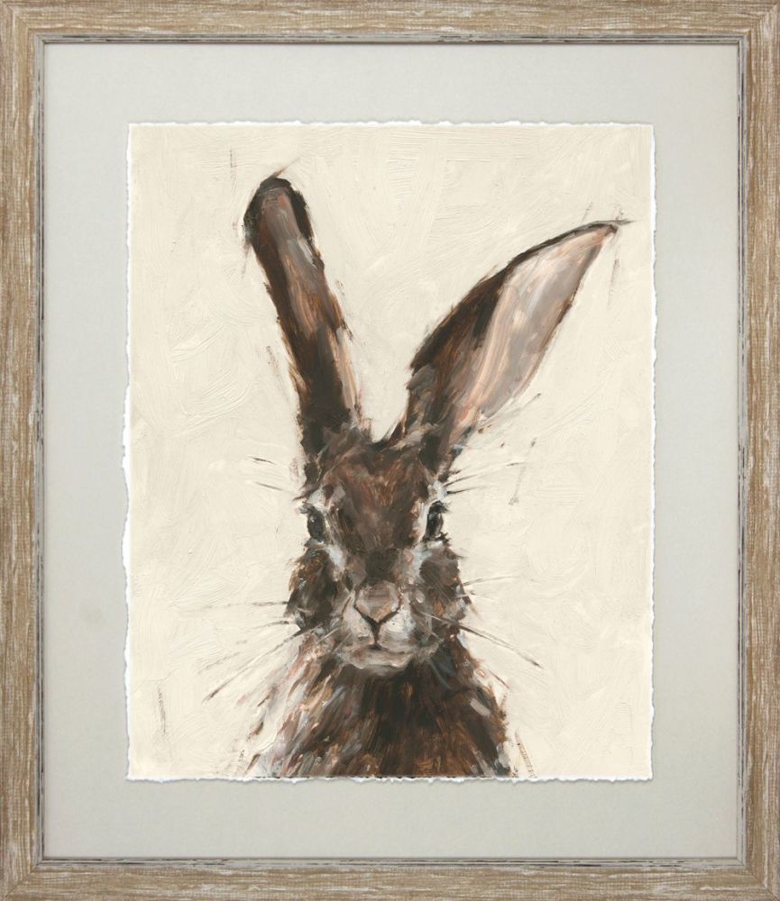 Brown Hare II Framed Print  - 53 x 45 cm