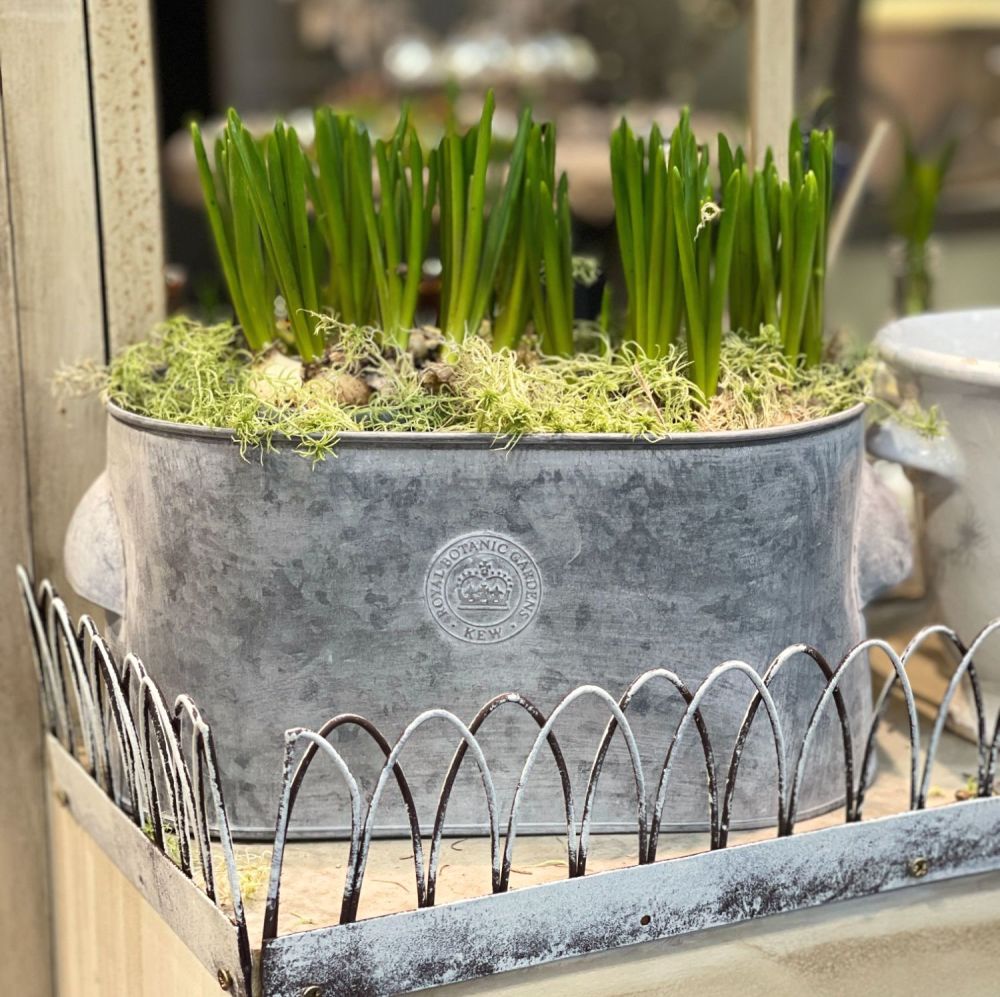 Kew Zinc Oval Planter or Trough with Handles