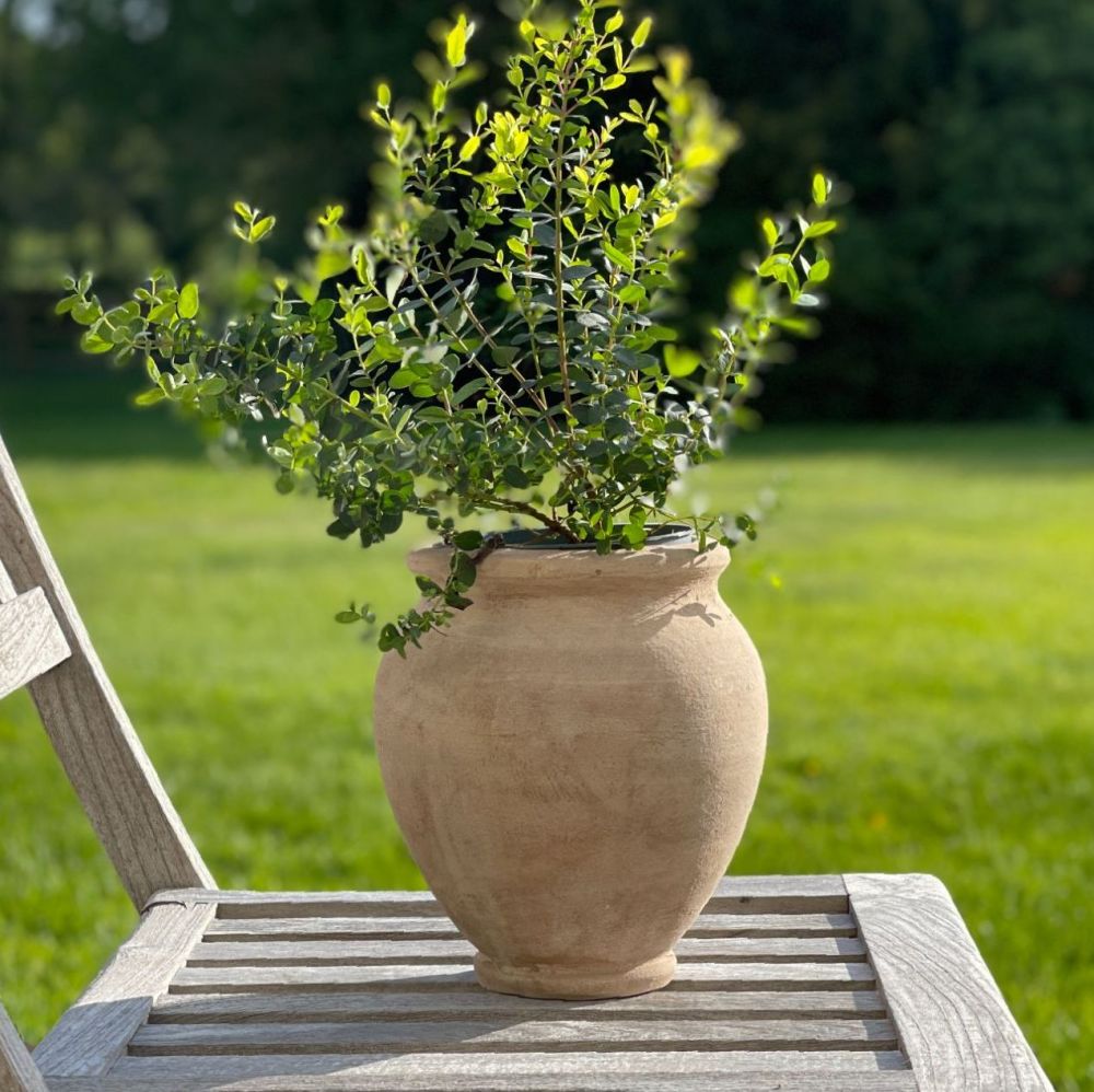 Vintage Style Aged Shaped Terracotta Plant Pot / Urn - Frostproof
