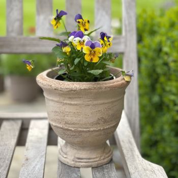 Vintage Style Aged Terracotta Footed Plant Pot / Vase - Frostproof