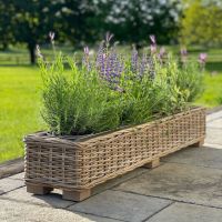 Rattan Wicker Basket Trough Planter with Metal Liner - Natural - 140 cm L