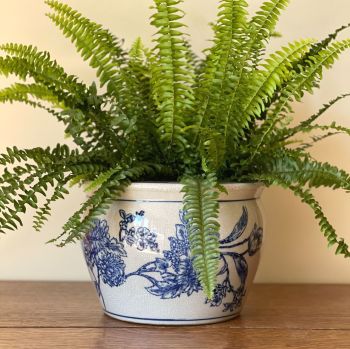 Vintage Style Classic Blue & White Botanical Plant Pot
