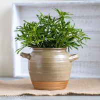 Artisan Natural Stoneware Honey Jar /Herb Pot