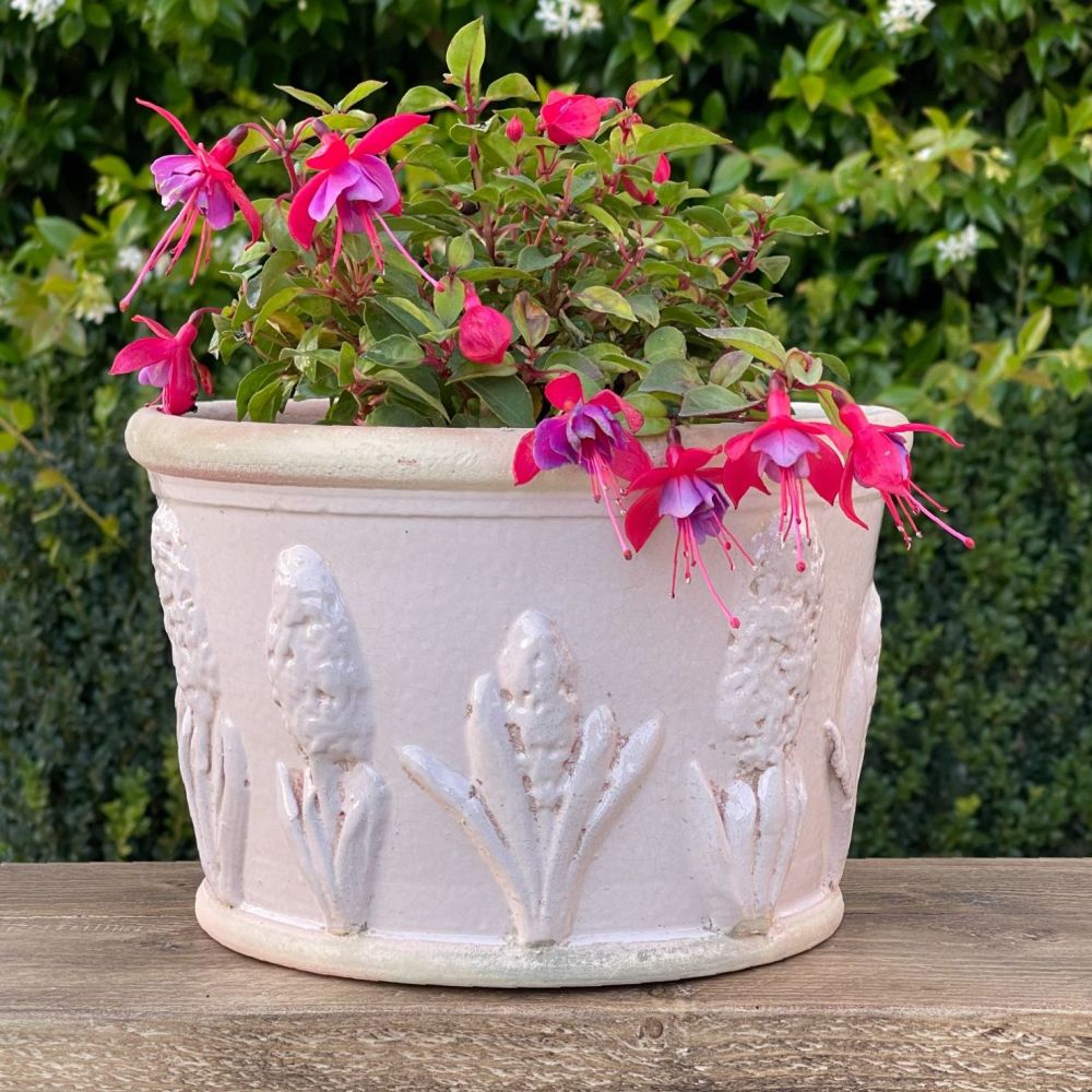 Kew Hyacinth Low Planter Calamine Pink - Royal Botanic Gardens Plant Pot - 