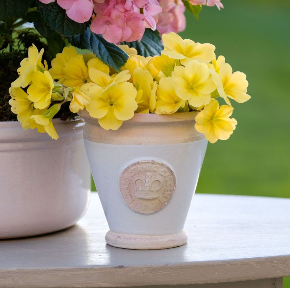 Kew Garden Tapered Cachepot, Small Plant or Cache Pot in Bone White Royal Botanic Gardens Pot