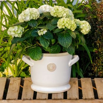 Kew Deep Planter with Handles Bone White - Royal Botanic Gardens Plant Pot - 26.5 cm H