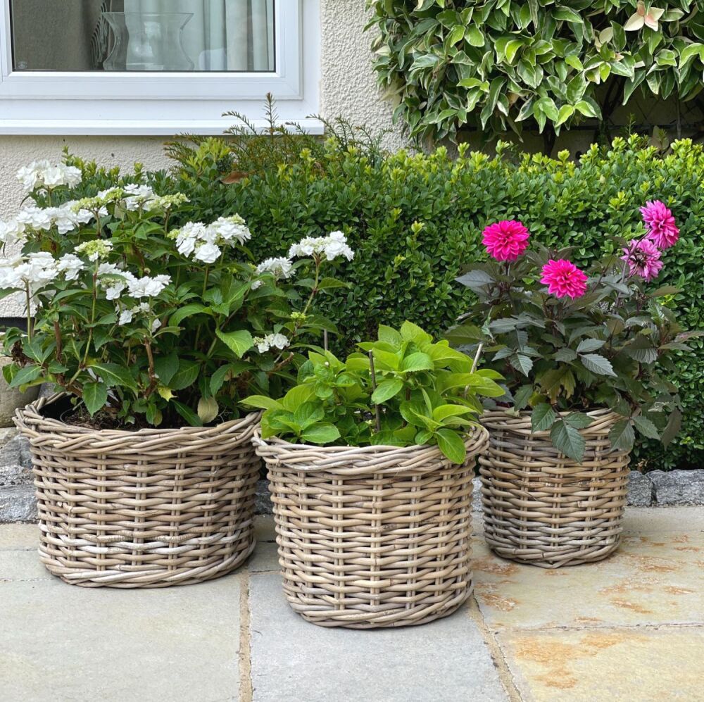Rattan Wicker Basket Planter / Plant Pot - Round Straight Edge  Low - Natur